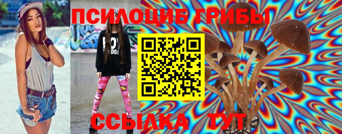 Псилоцибиновые грибы Cubensis Ессентуки