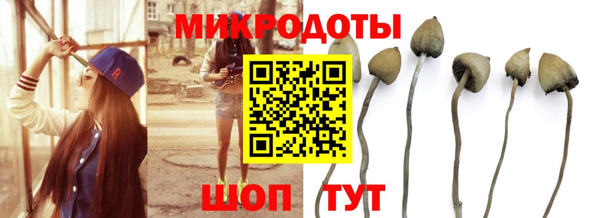 наркота  Вход с VPN  Ессентуки  Галлюциногенные грибы Cubensis 